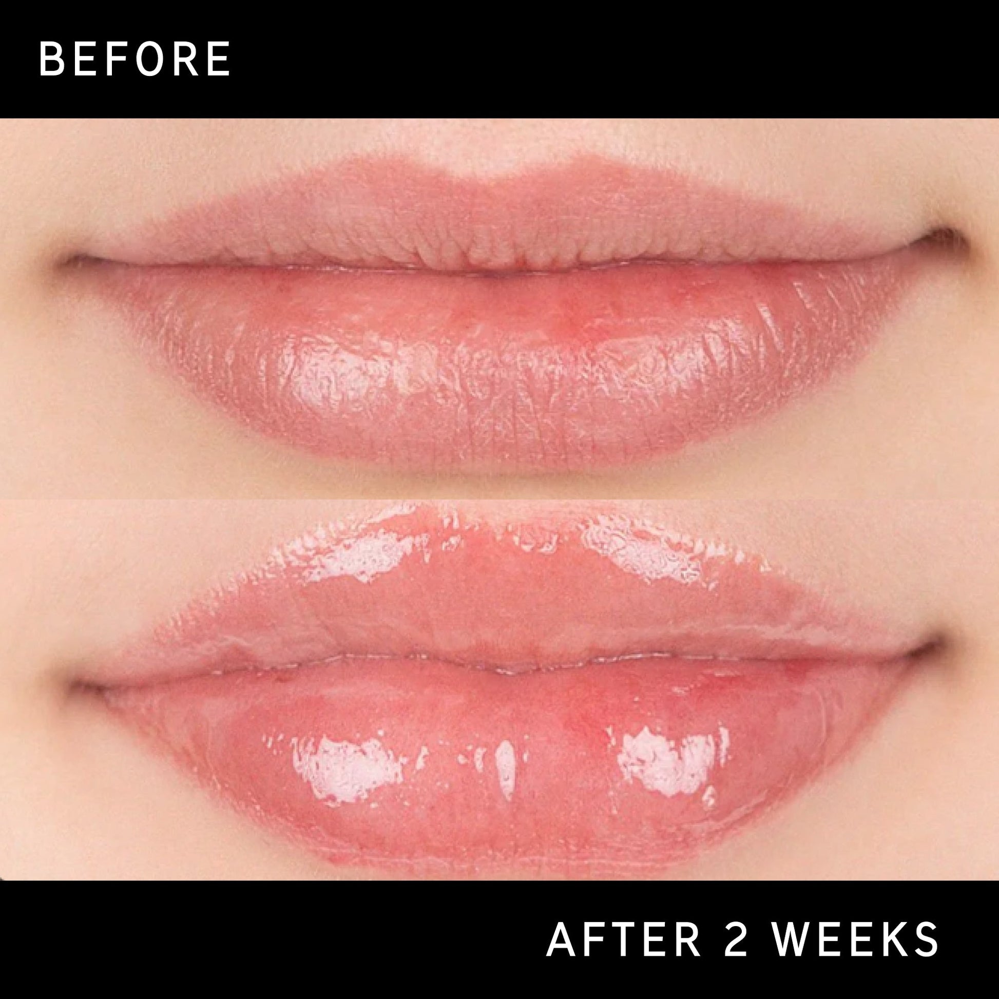 tripeptide-plumping-lip-balm-q4 DTC-Top15_Amends_Tripeptide-Lip_B_A.jpg